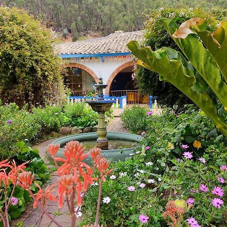 Finca San Pedro -Alojamiento Campestre Y Reserva Natural- 소가모소 외부 사진