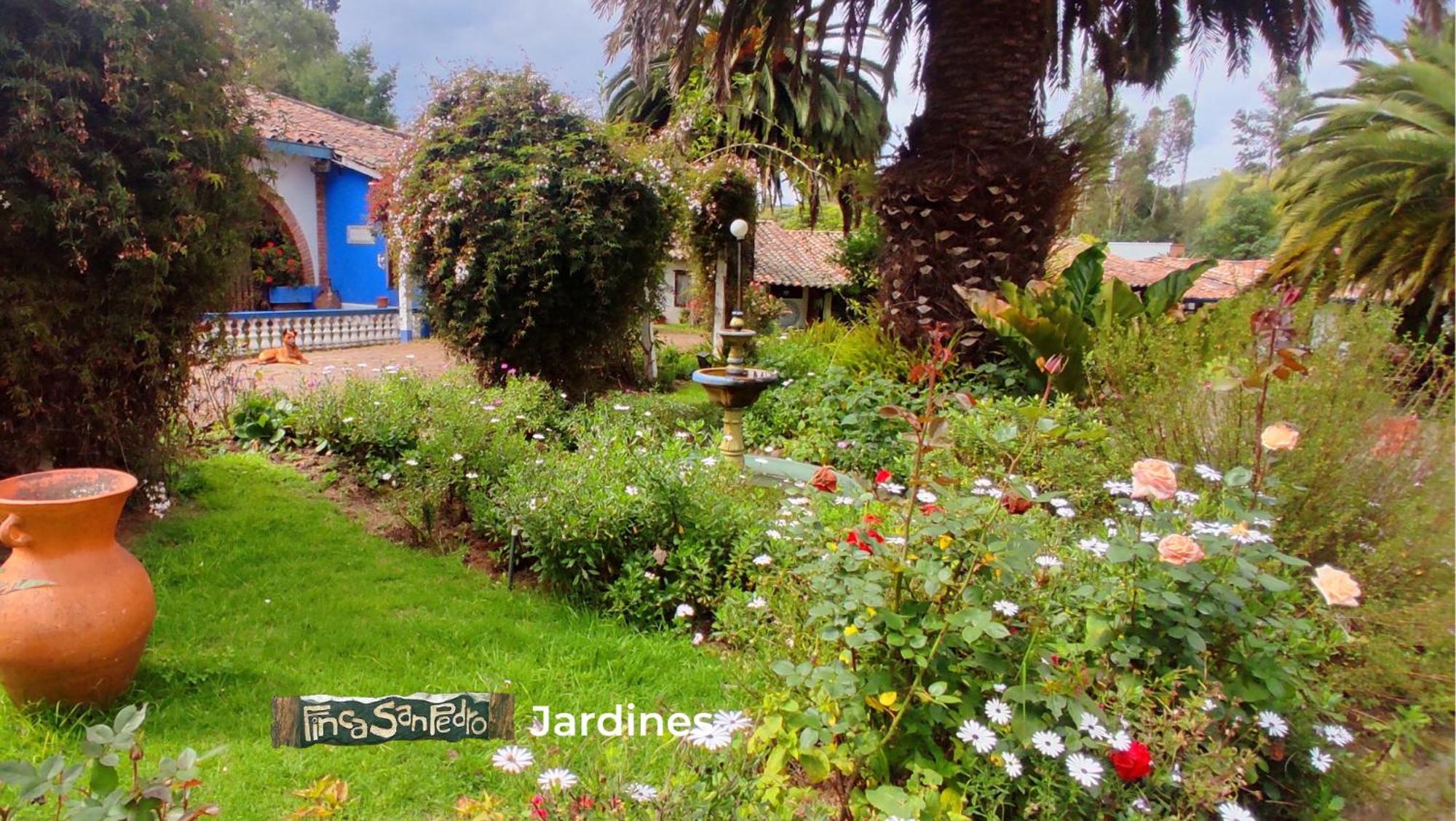 Finca San Pedro -Alojamiento Campestre Y Reserva Natural- 소가모소 외부 사진
