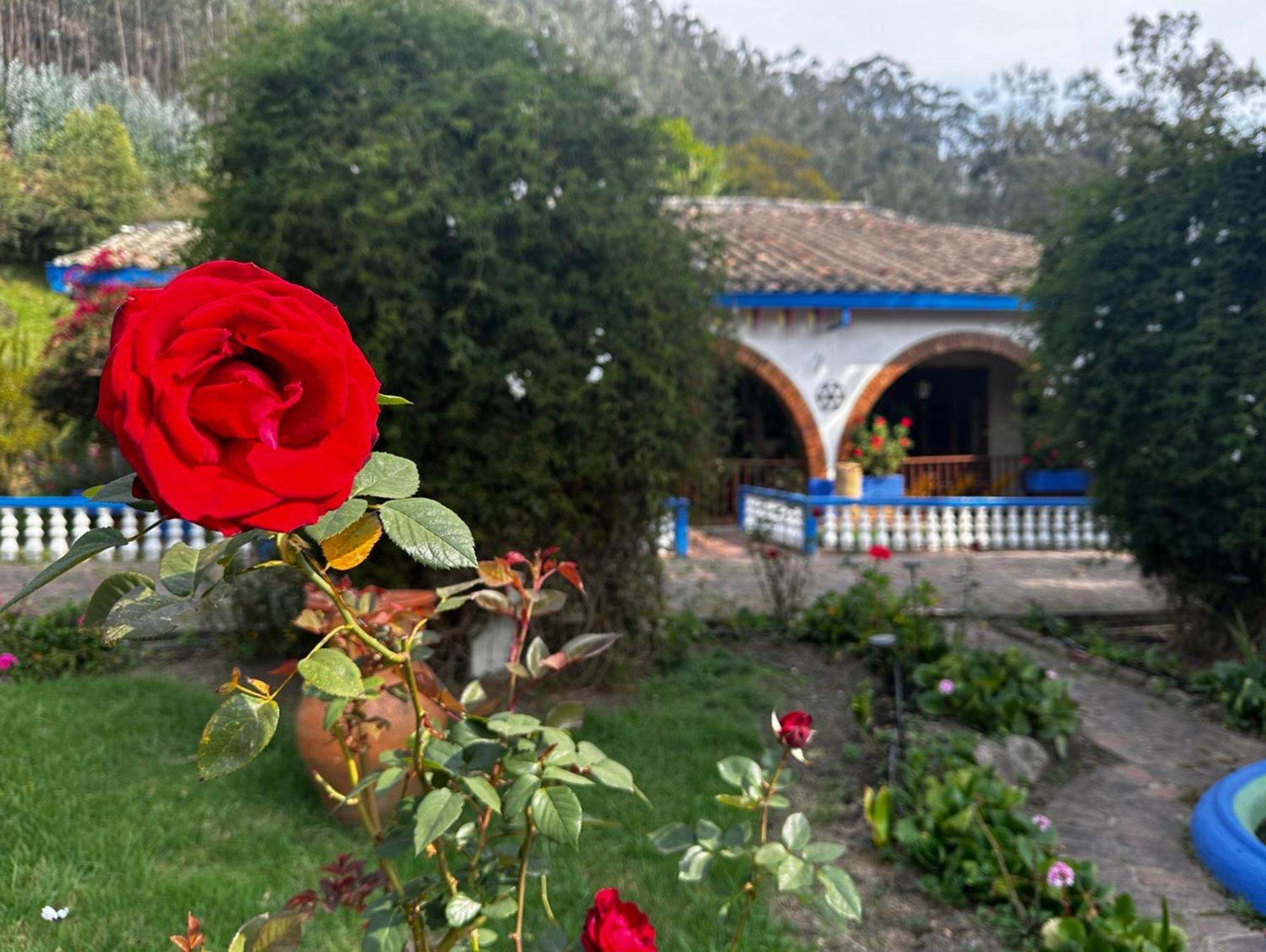 Finca San Pedro -Alojamiento Campestre Y Reserva Natural- 소가모소 외부 사진