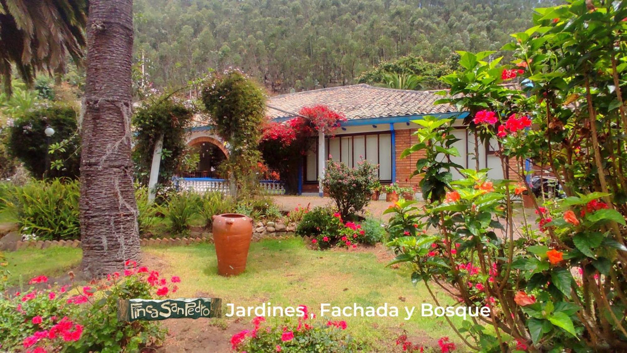 Finca San Pedro -Alojamiento Campestre Y Reserva Natural- 소가모소 외부 사진