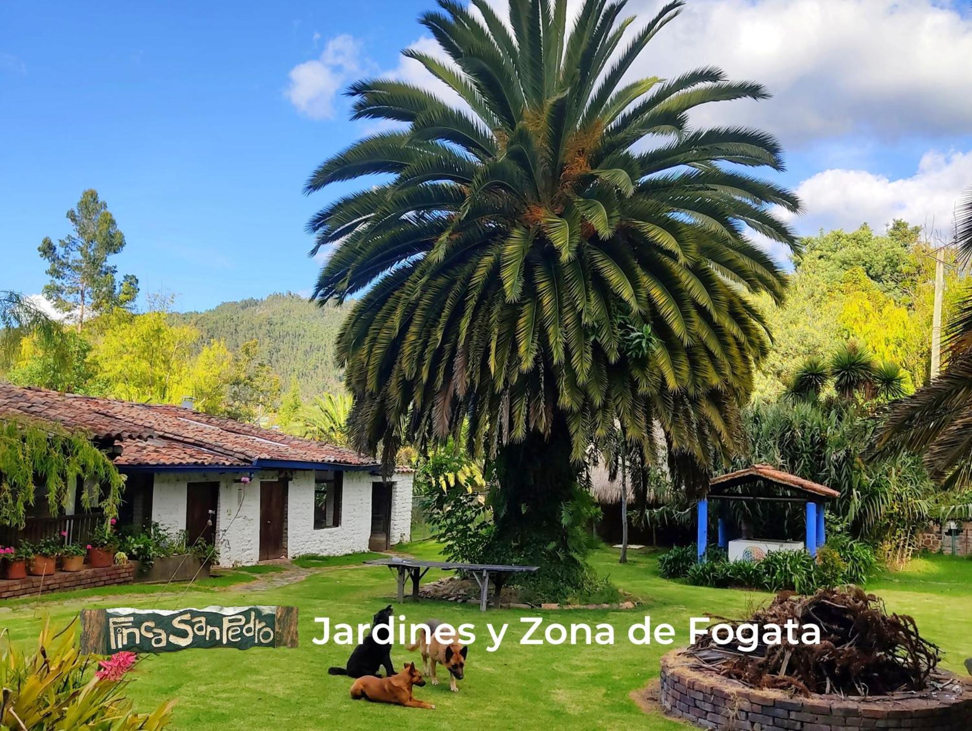 Finca San Pedro -Alojamiento Campestre Y Reserva Natural- 소가모소 외부 사진
